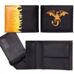 Mode Pokemon SIMPLE - DRACAUFEU & Flammes