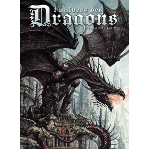  L'univers Des Dragons, Premiers Feux