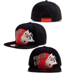 Mode Pokemon PIKACHU - POWER NAP